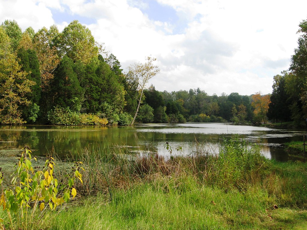 CoveLake09 (4) Early fall day at Cove Lake in Campbell Co… Flickr