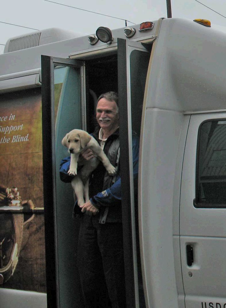 puppy truck 2 Puppy truck delivery photos. Submitted by Ma… Flickr