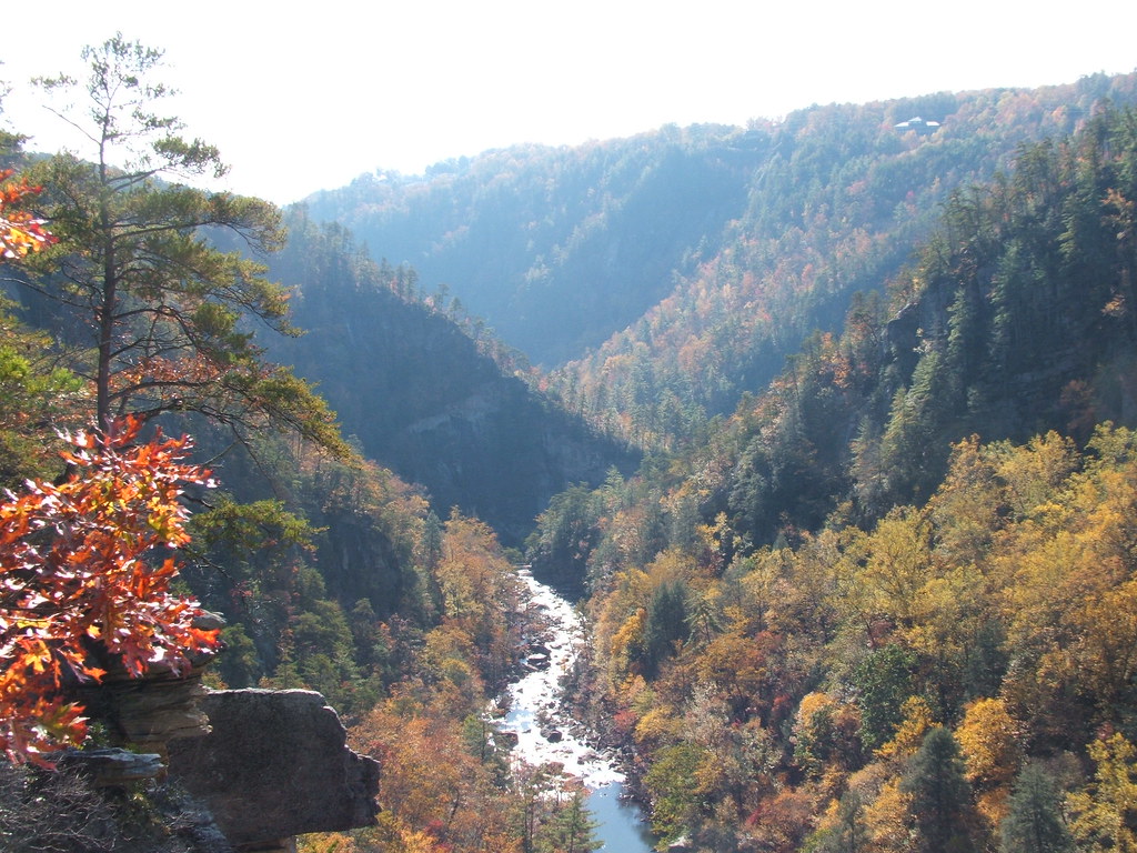 Fall at Tallulah State Park Leaf Watch 2009 Tallulah… Flickr