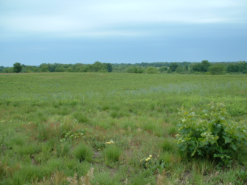 Sand Prairie 2 ThomsonFulton Sand Prairie. The Mississipp… Flickr