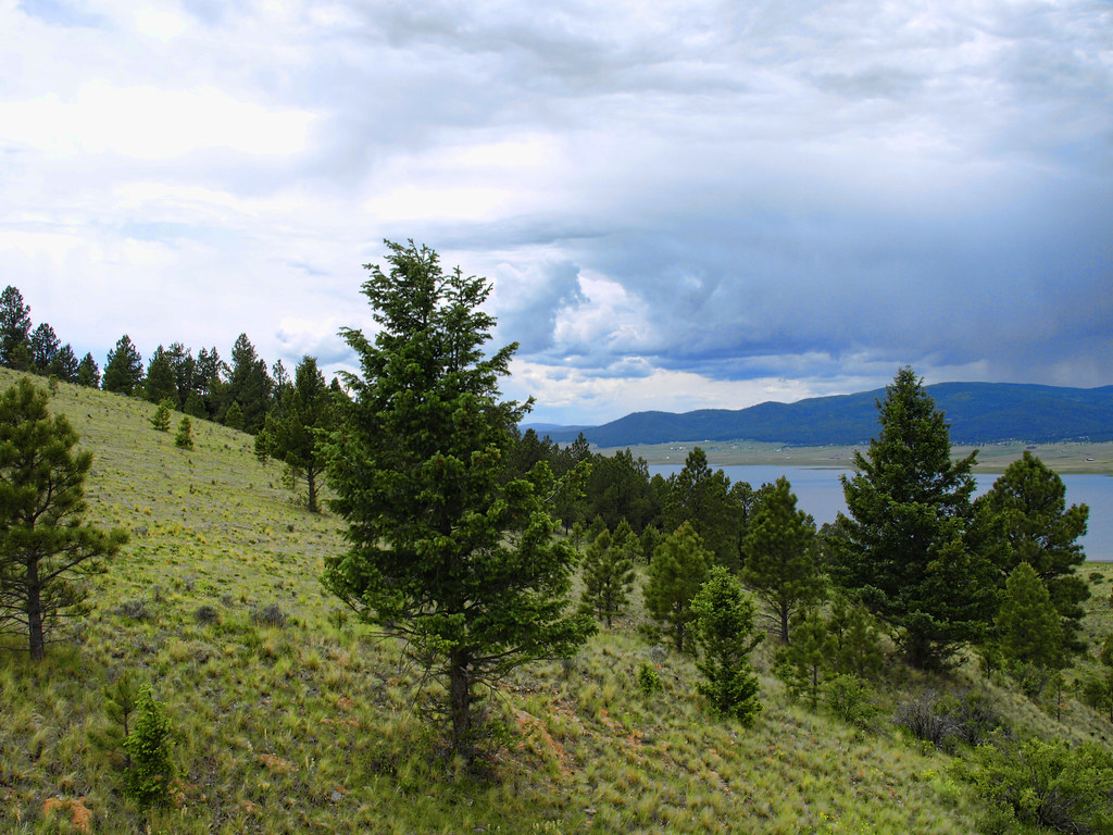 Eagle Nest New Mexico. C Diamond C Ranch Lake Eagle Nest. … Flickr