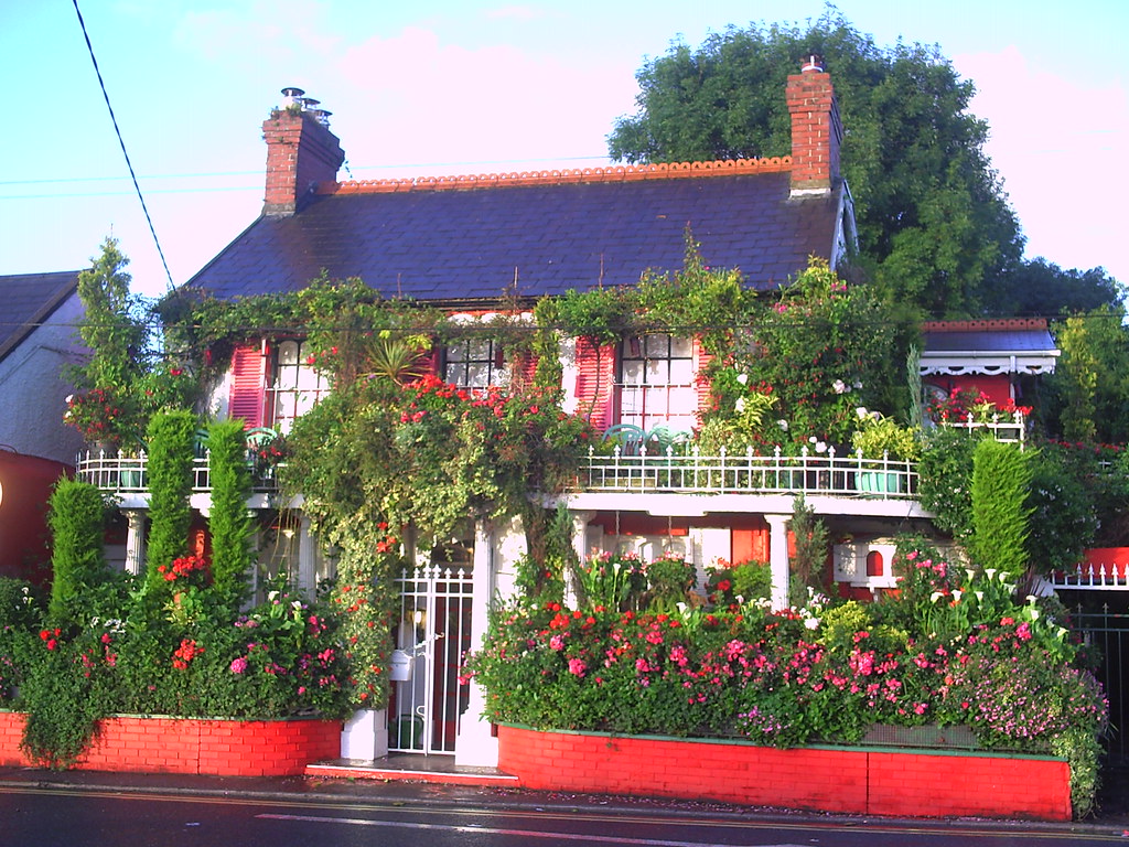 House of flowers. South Douglas rd Cork City. william kiely Flickr