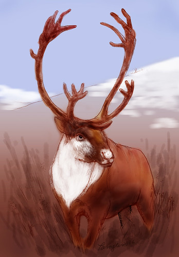 reindeer drawing | Pencil drawing with colour added on compu… | taraghb
