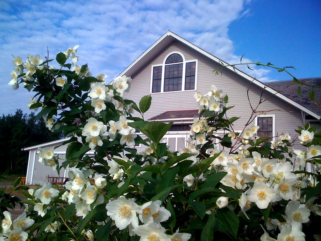 Belden Farm North Hatfield, MA Apple iPhone Photo by Cro… Flickr