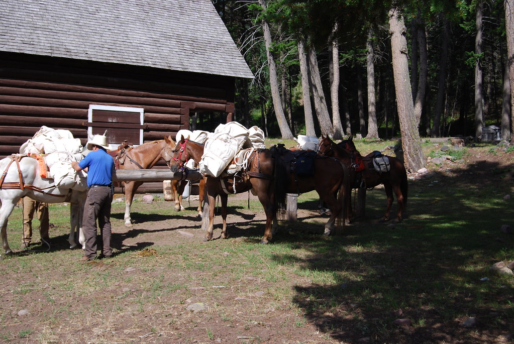 Black Bear Cabin 051 Bob Marshall Wilderness Foundation Flickr