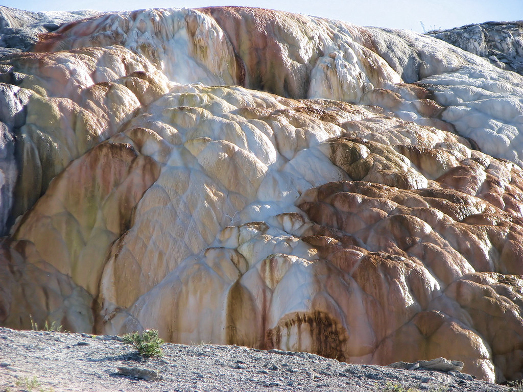 Cleopatra Terrace Yellowstone Mammoth Hot Springs This … Flickr