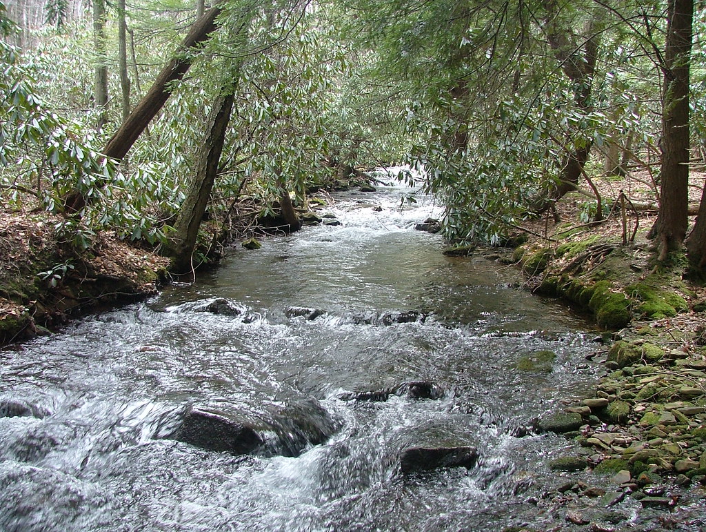 Rock Run (PA) 4/09 Flickr