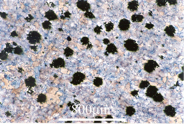 Pearlitic malleable cast iron DoITPoMS, University of Camb… Flickr