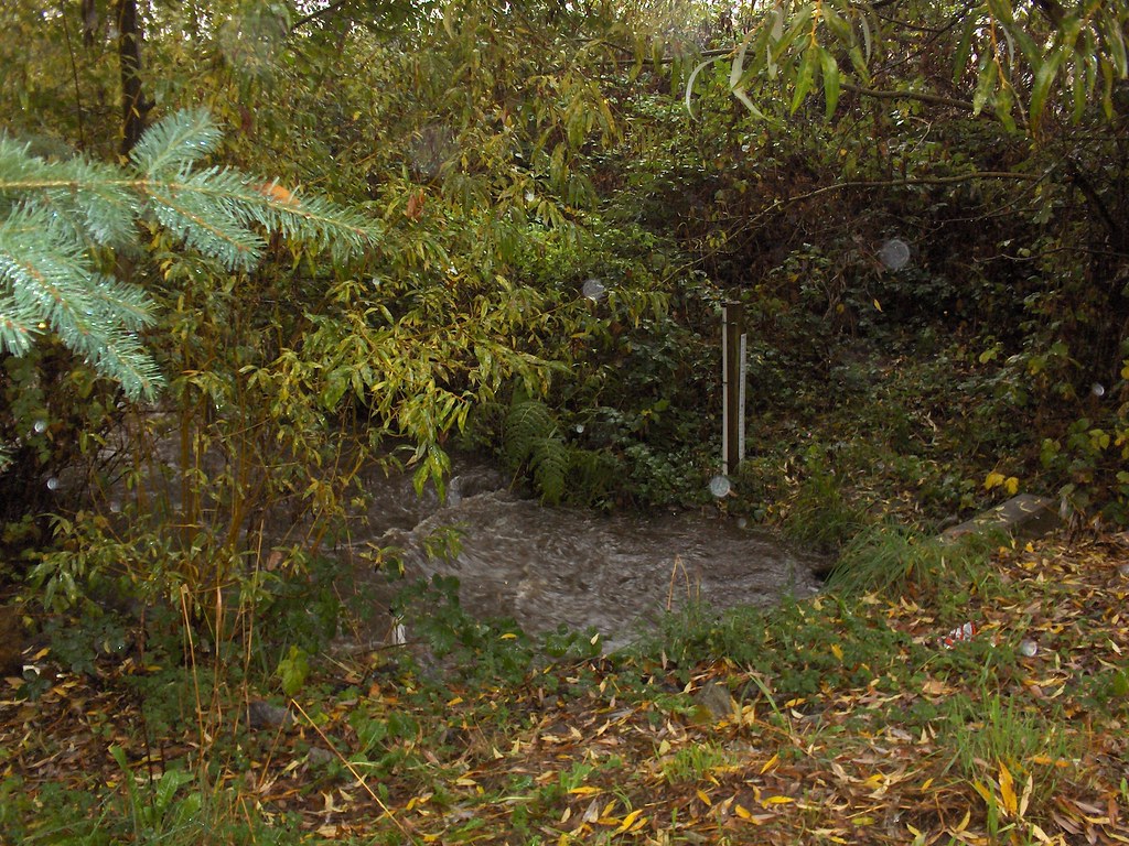 Meadowbrook Pond Flickr