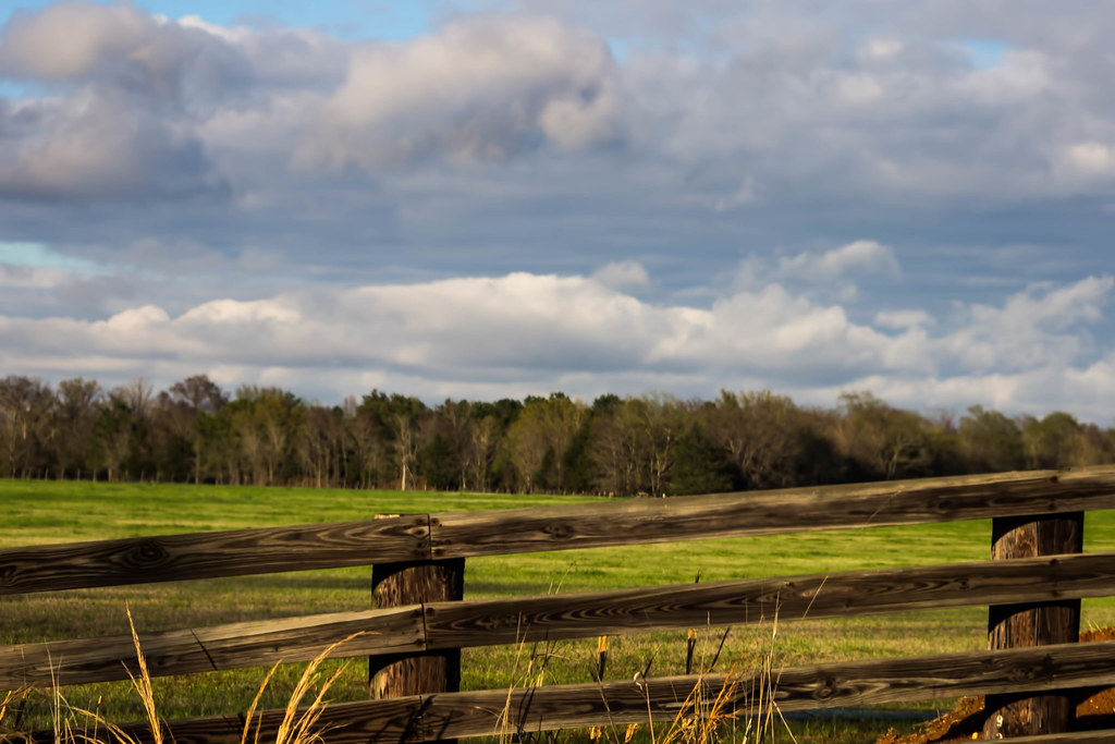 East Texas Countryside ImageTek Flickr