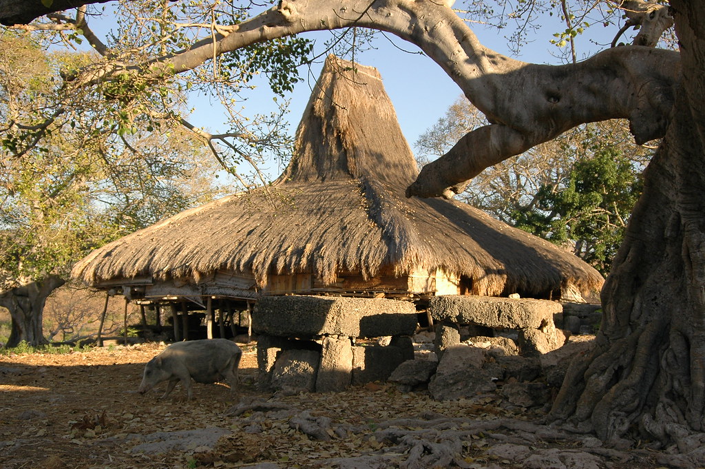 Sumba traditional House a Sumba House in Prailiang, East S… Flickr