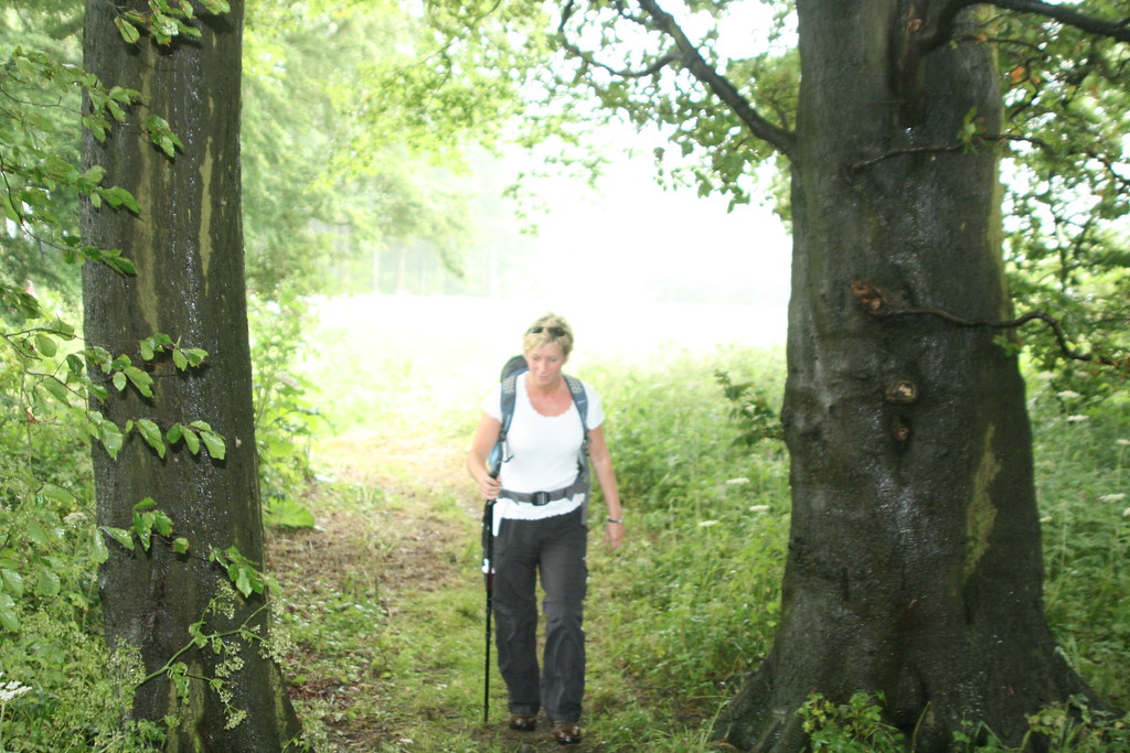 Tranquility Trail 270609 021 Mark Rodwell Flickr