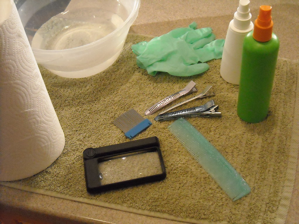 Head lice combing tools You will need a few items to prope… Flickr