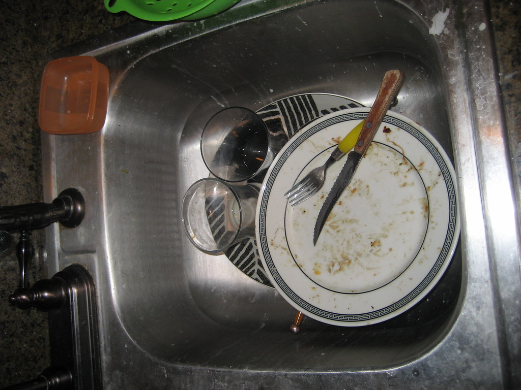Dirty dishes Leaving dirty dishes in the sink for a long t… Melissa