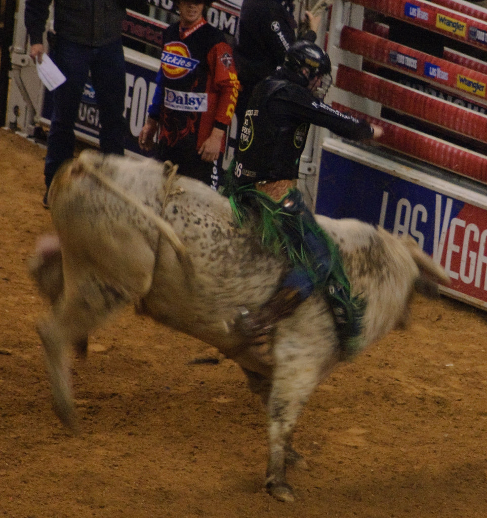 A Rodeo in WinstonSalem bull riding" happens… Flickr