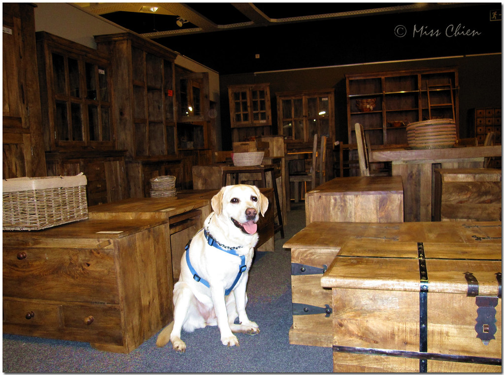 If I was a carpenter... I would make furnitures like this.… Flickr