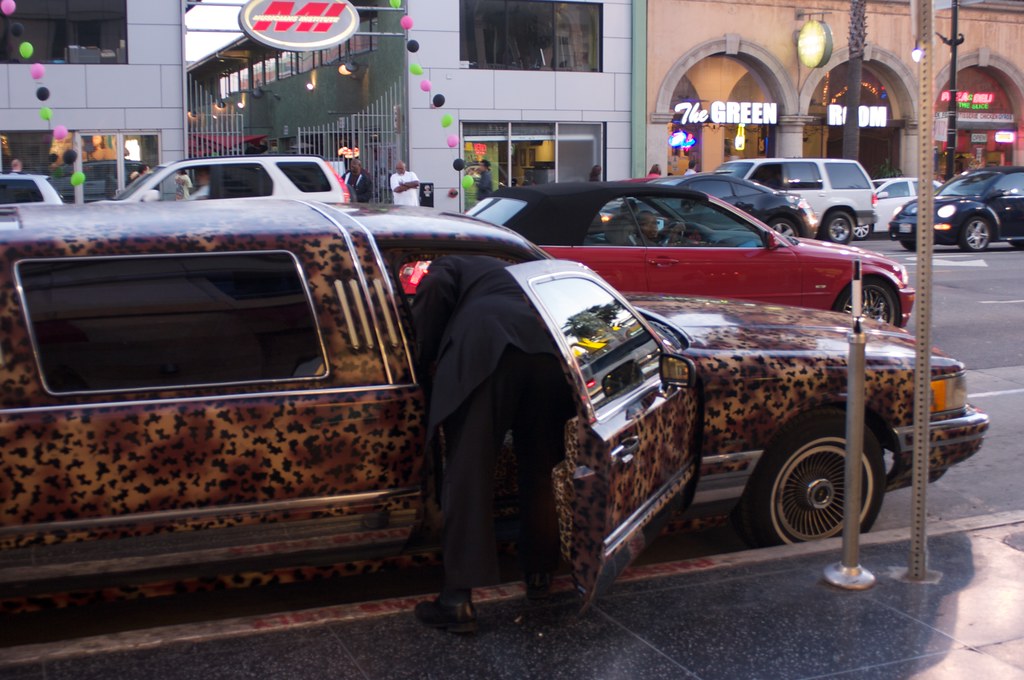 Leopardprint Limo Jen Gallardo Flickr