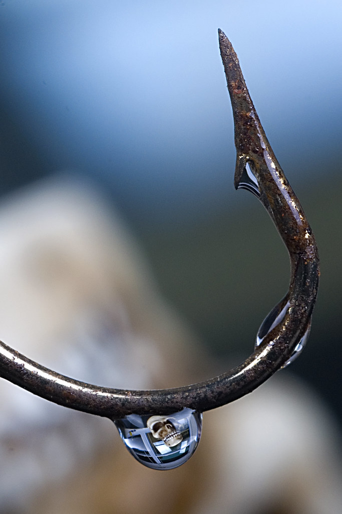 Hook Skull 3 DBT & David A Hering Anthony Brandolini Flickr