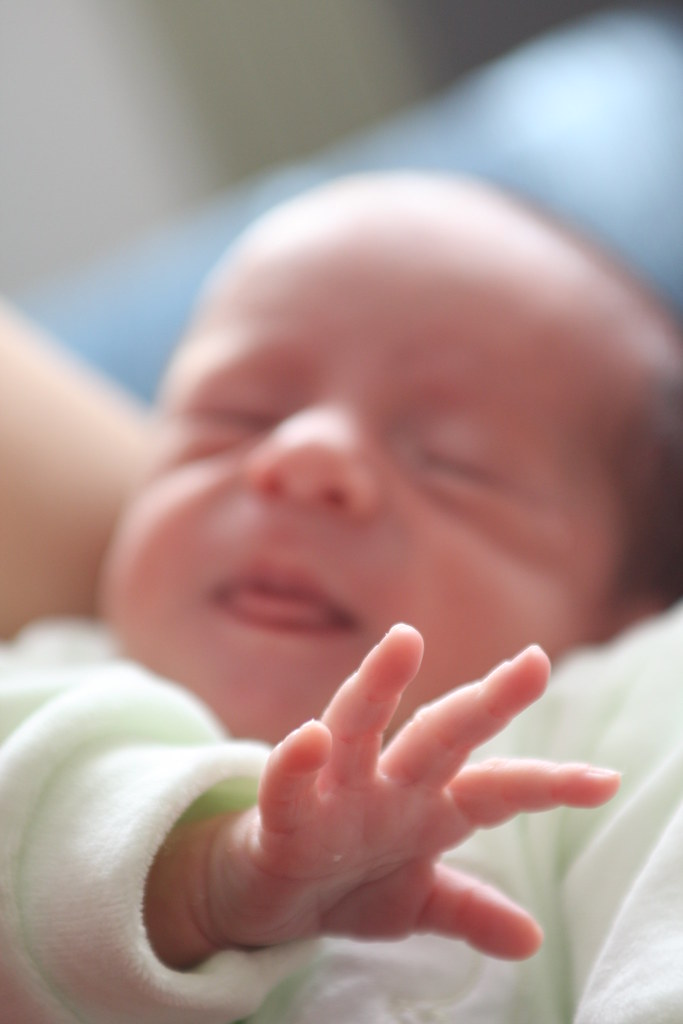 New life! a two weeks old boy! MR. SKIRO Flickr