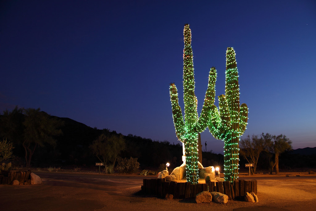 Christmas at the desert This is the sign of a very good re… Flickr