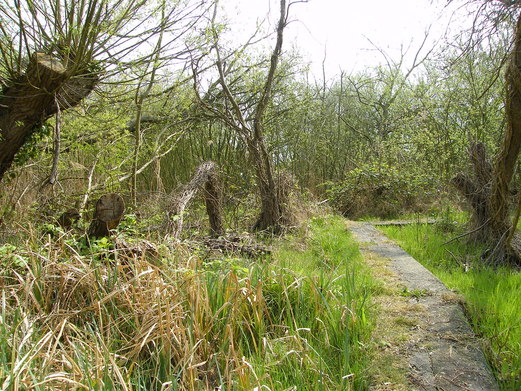 Wildlife Trusts, Norwood Road March Camb's UK.127a Flickr