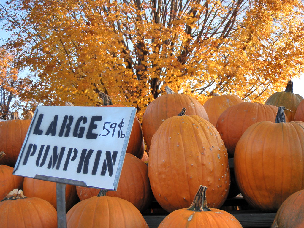 Pumpkins for sale Outside the J & F farms, large pumpkins … Flickr