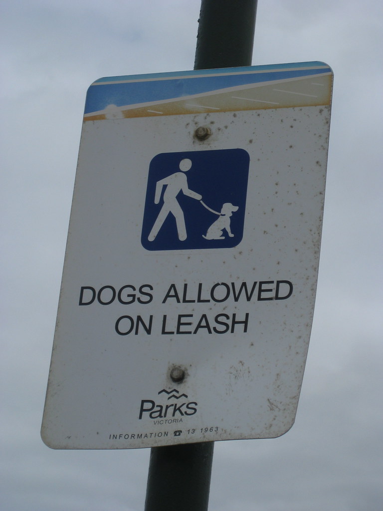 Dogs allowed Helen K Flickr