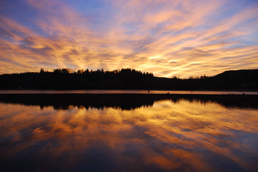 Vernonia Mill Pond Flickr