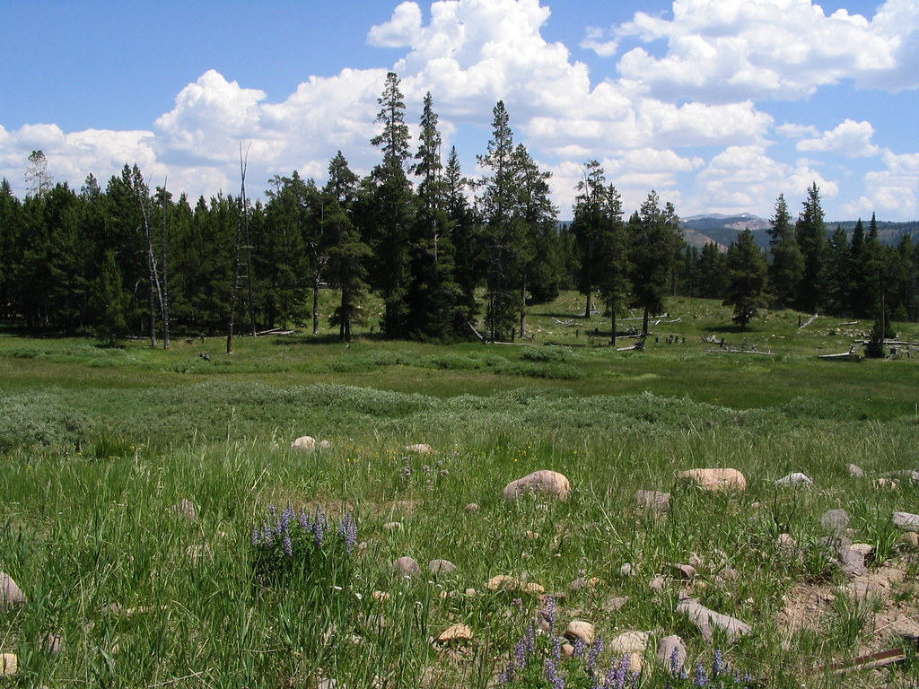 North Slope Road Scenic Backway, High Uinta Mountains, Uta… Flickr