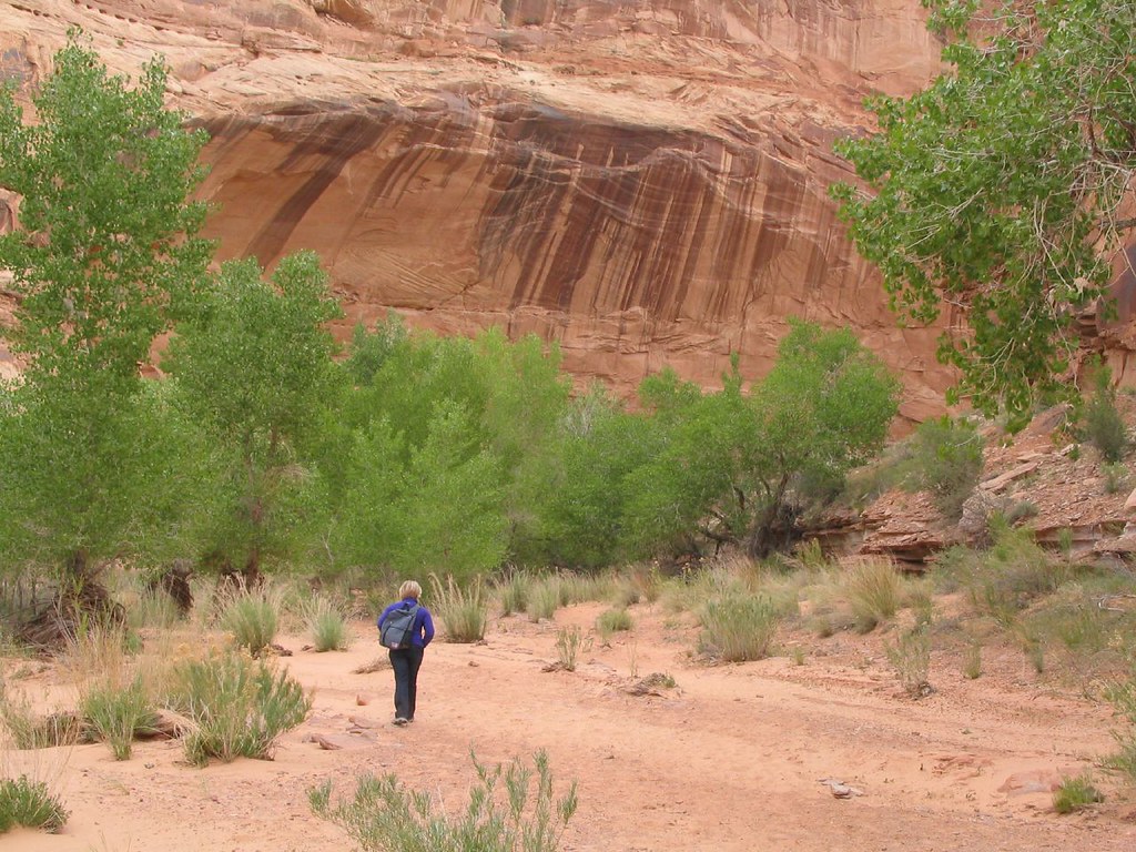 Horseshoe Canyon Unit, Canyonlands National Park, Utah Flickr