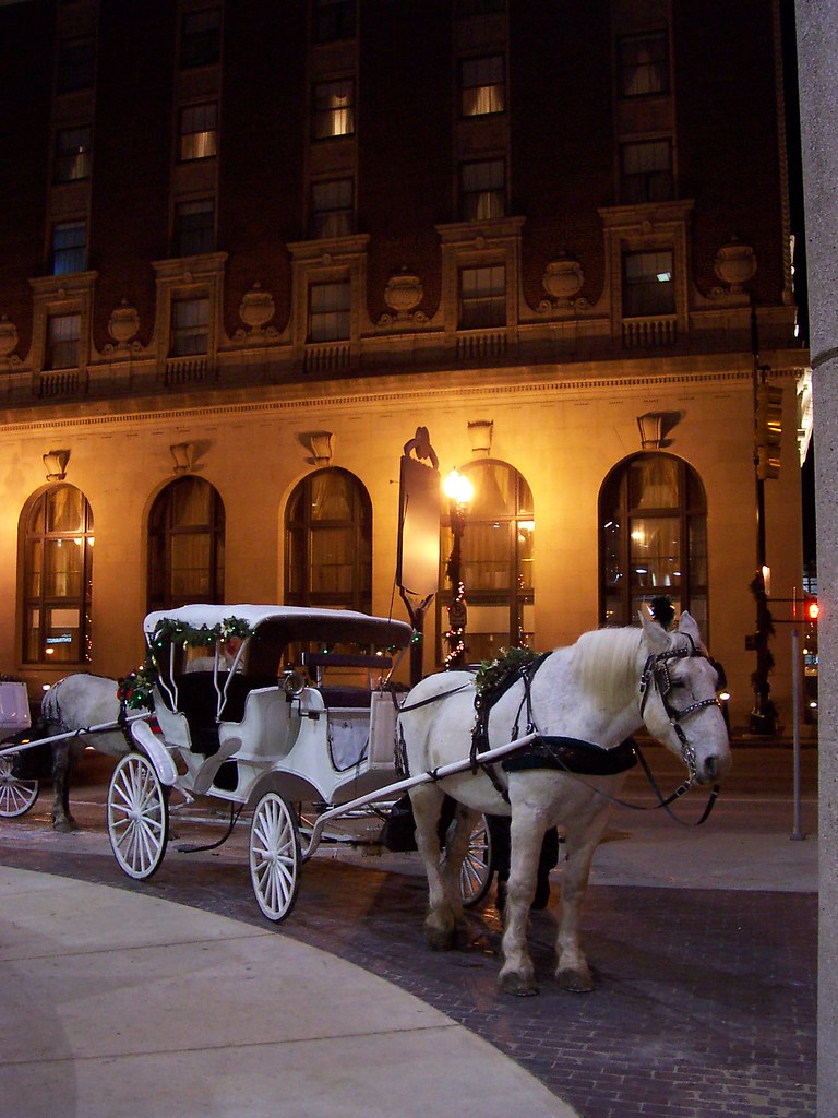 Horse Carriage Rides In Grand Rapids Mi at Edith McCaffrey blog