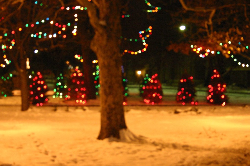 Christmas in Bronson Park downtown Kalamazoo Mi. 05 Flickr