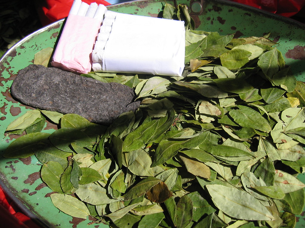 Coca leaves Ryan Greenberg Flickr