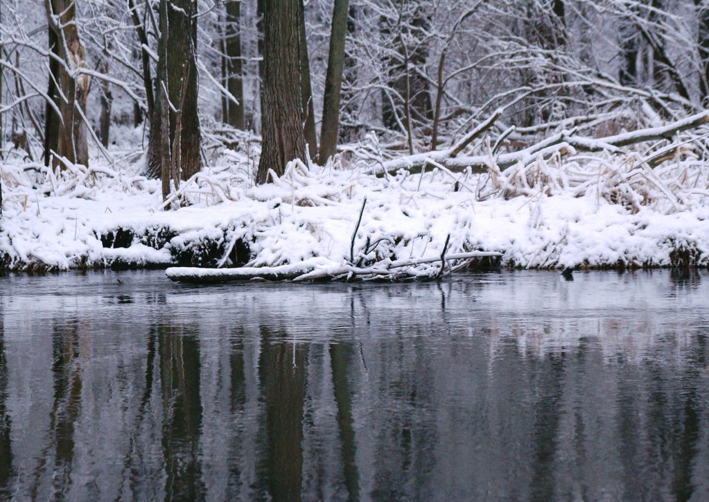 Sugarcoated River Bank Slightly different version from th… Flickr