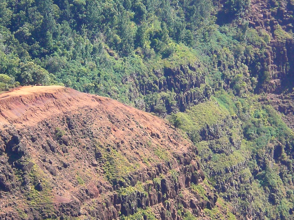 CIMG1357 Christmas '06 Kauai, Hawaii Christmas '06 Kauai, … Flickr