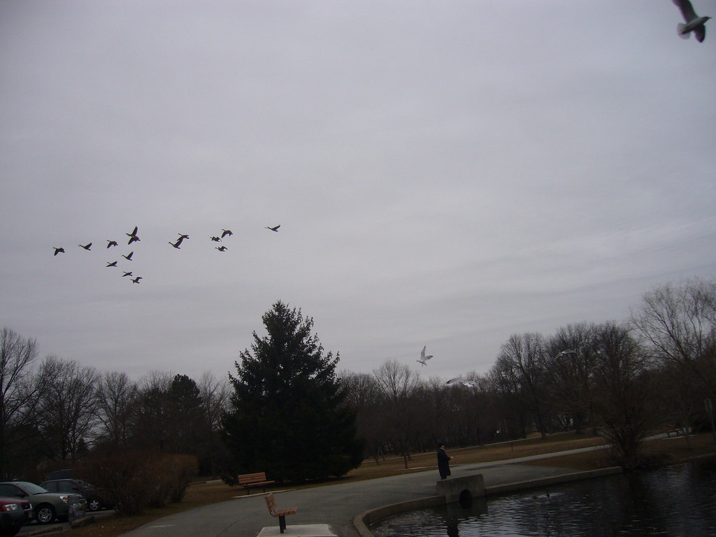 Parque Parque de Glen rock, New jersey E.E.U.U. intervencionoculta Flickr