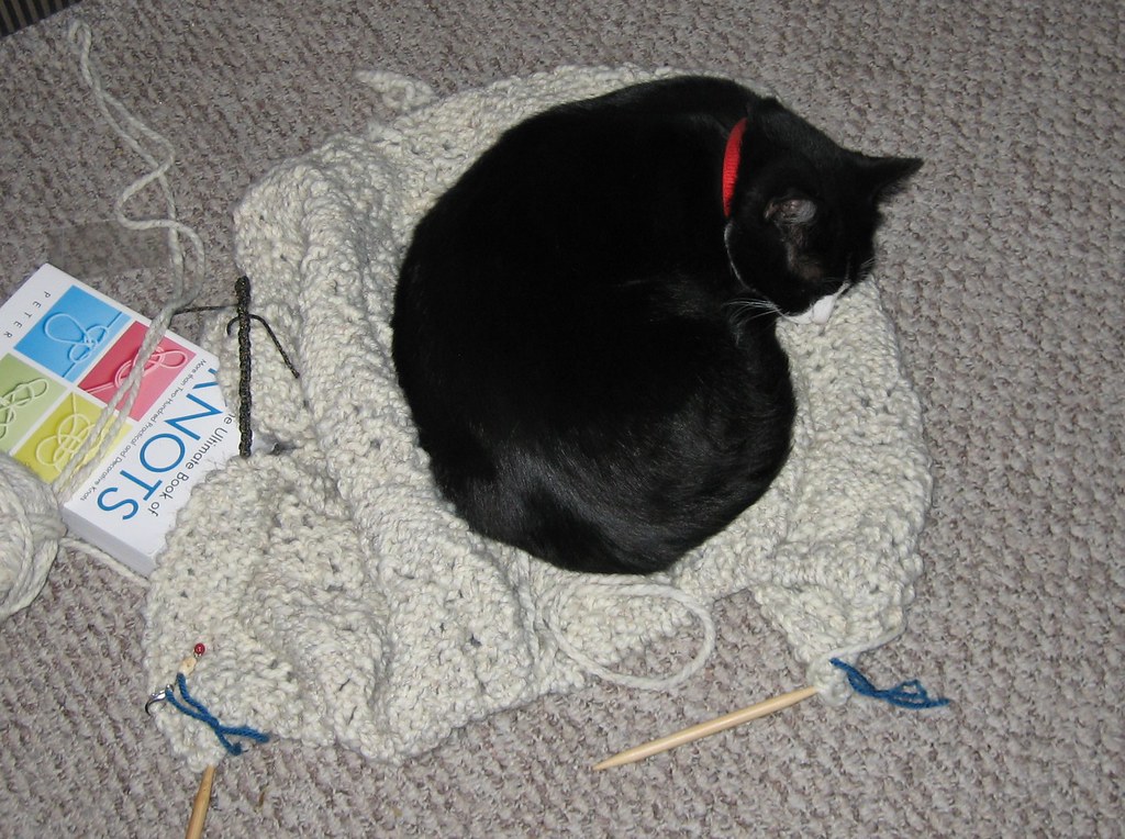 blanket kitten obviously this blanket isn't finished, but … Flickr
