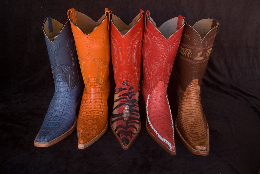 Chihuahua boots Flickr