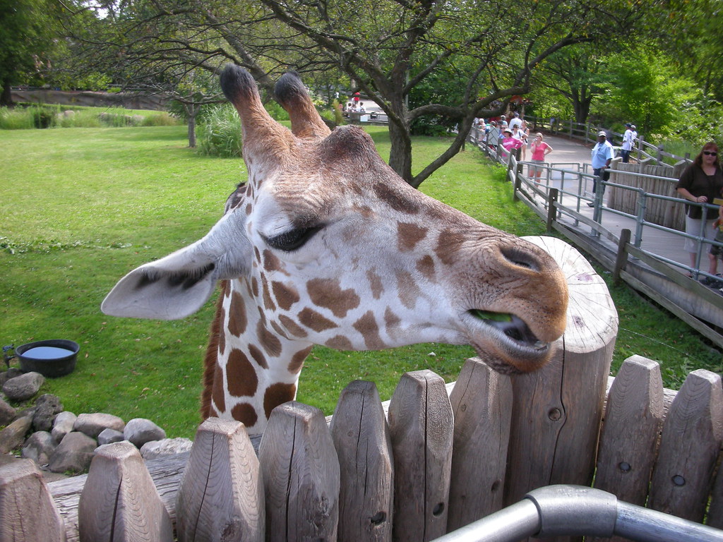 What to See in Detroit? 5 Ideas for a Perfect Road Trip AtoAllinks