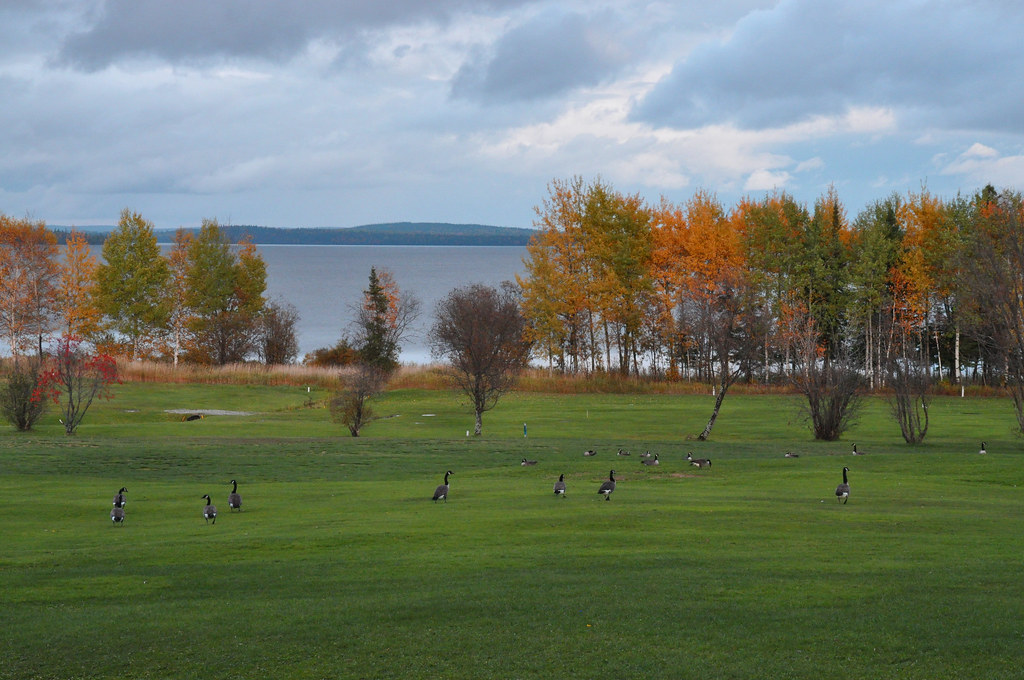 le golf sur le lac! le golf borde le lac Quévillon et en c… Flickr