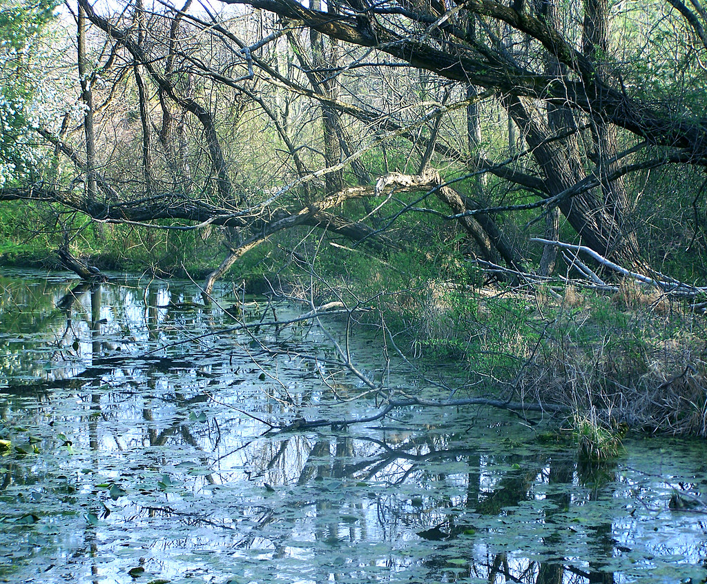 Peace Valley Park, Bucks County PA cormanosanchez Flickr