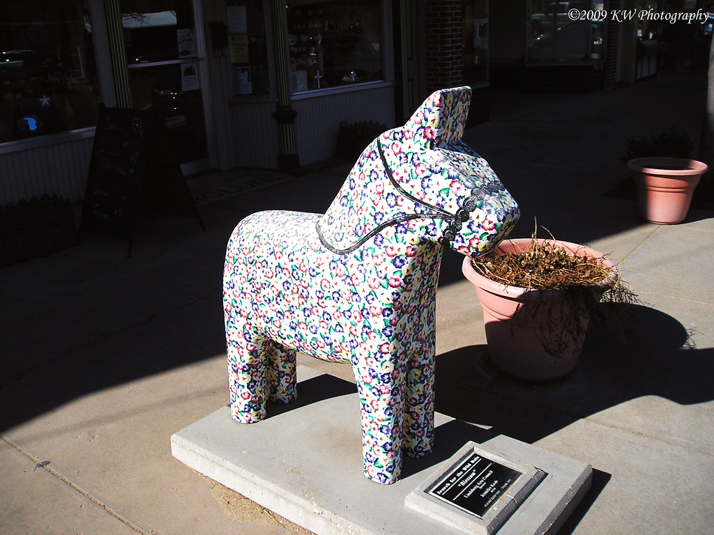 Blossum "Blossum," a Arts Council sponsored Dala… Flickr