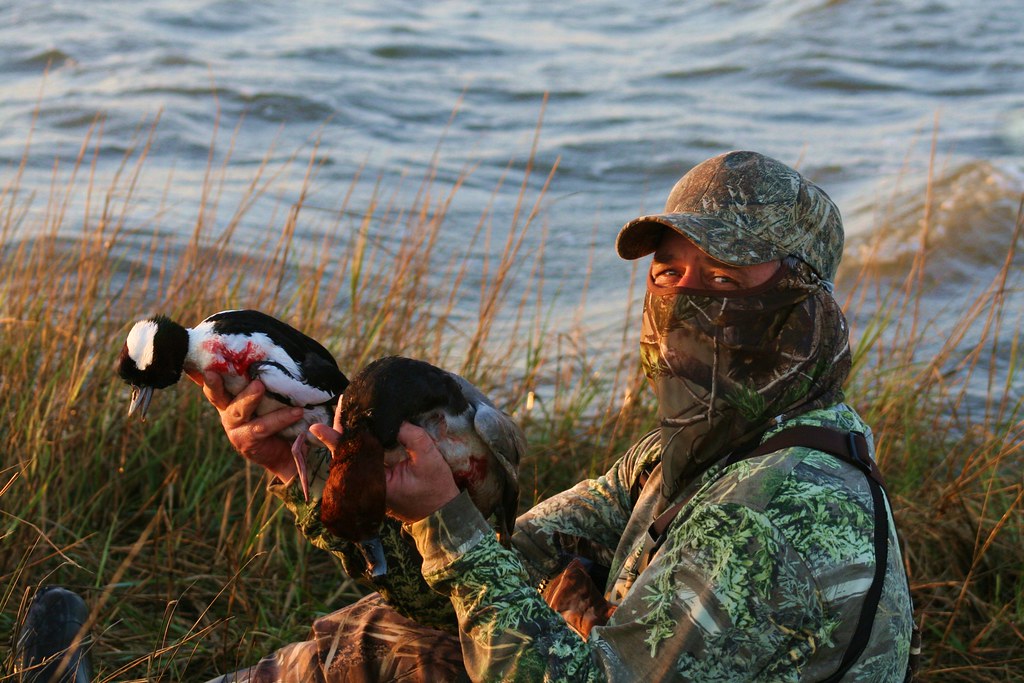 DIVING DUCK HUNTING IN BILOXI, MS Emile Poses Wit… Flickr