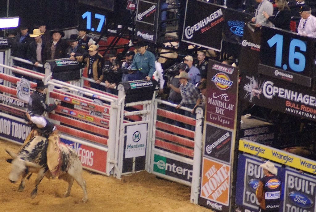 A Rodeo in WinstonSalem bull riding" happens… Flickr