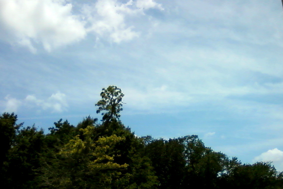 5/10/2011 Charenton, Louisiana The sky started off this mo… Flickr