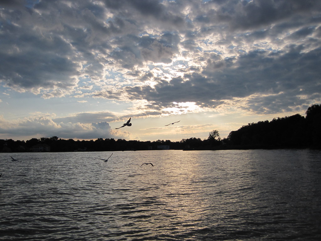 Cass Lake Park summer 2009 Faerygirl Flickr