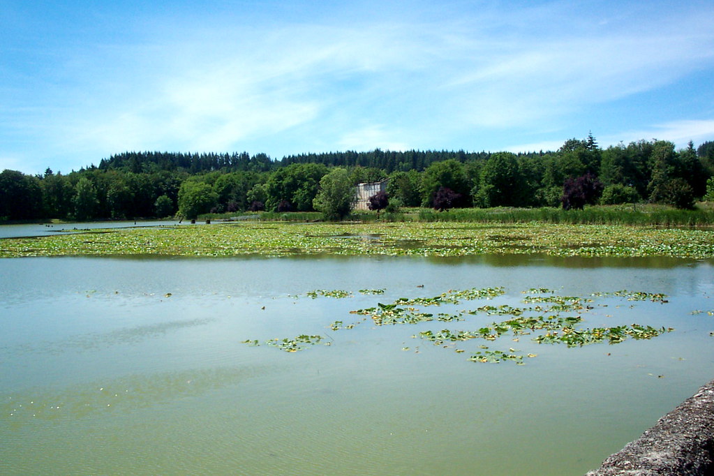 Vernonia Lake Paul Cole Flickr