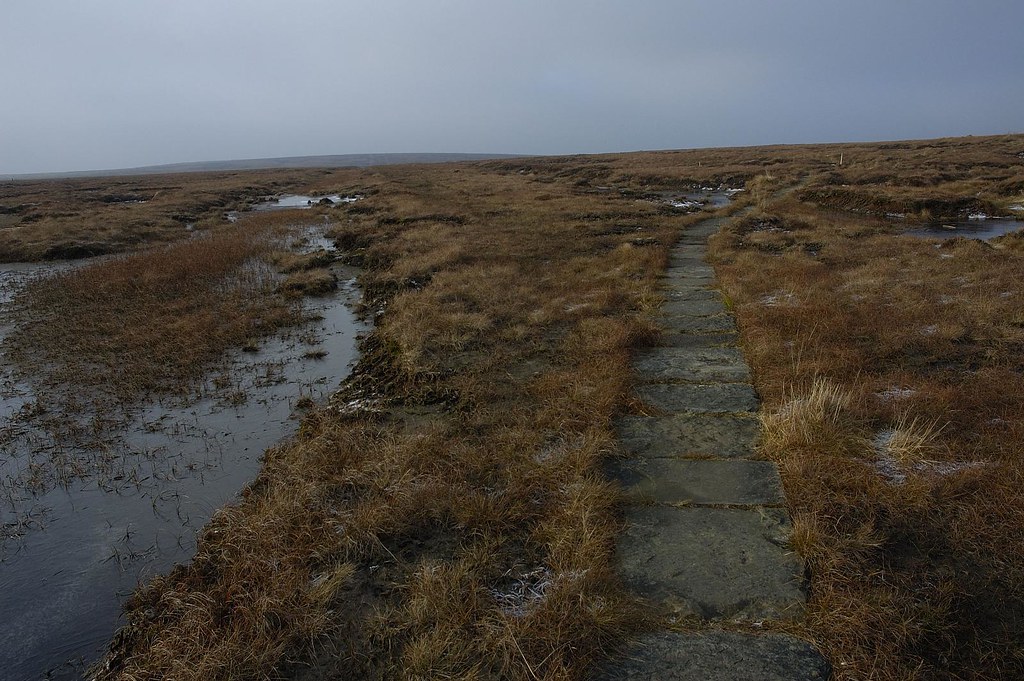 Saddleworth Moor Tues 30122008 (198) Cotton Famine Road Richard