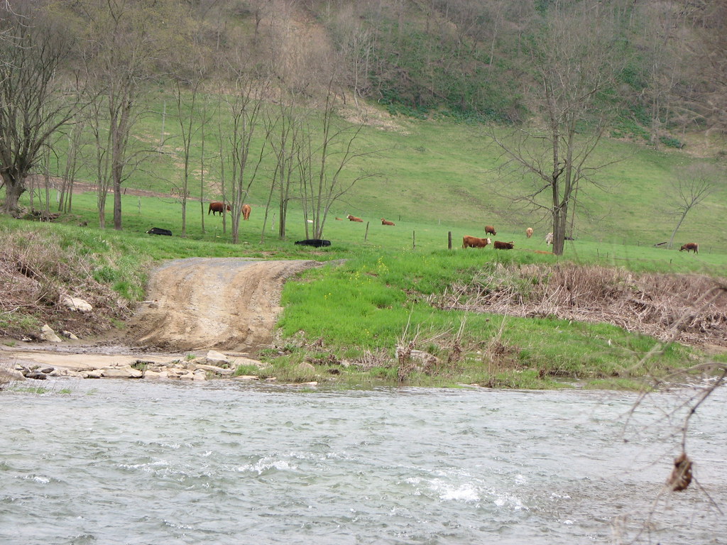 Fish Creek Fish Creek, Marshall County WV. Willy Nelson Flickr