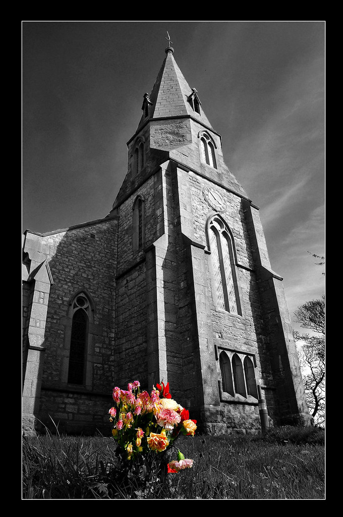 Bring me dead flowers in the morning... A ‘colour popped’ … Flickr